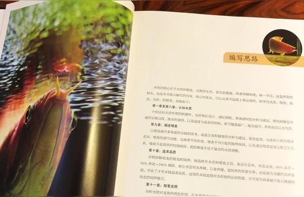 紅龍魚人工飼料品牌推薦：紅龍魚飼料品牌推薦 龍魚百科 第5張