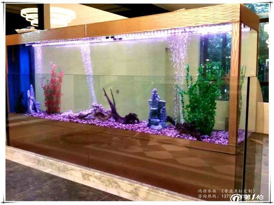 龍魚缸沉木造景：龍魚缸造景水草選擇指南 龍魚百科 第4張