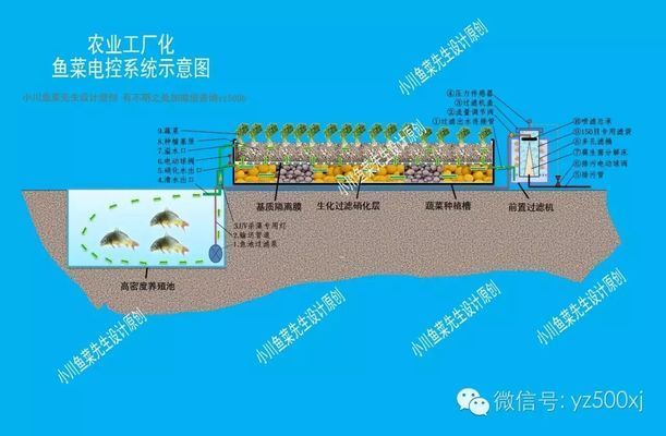 生化環(huán)與生化球在過(guò)濾中的角色：生化球與生化球的優(yōu)缺點(diǎn)對(duì)比 龍魚(yú)百科 第2張