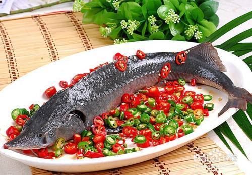 龍魚關(guān)刀魚：龍魚和關(guān)刀魚混養(yǎng)注意事項龍魚混養(yǎng)注意事項 龍魚百科 第4張