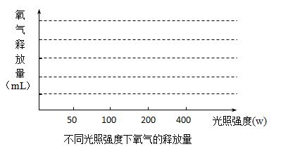 紅龍魚光照強(qiáng)度對(duì)健康影響：如何選擇適合紅龍魚的燈具，紅龍魚光照與色彩關(guān)系 龍魚百科 第5張