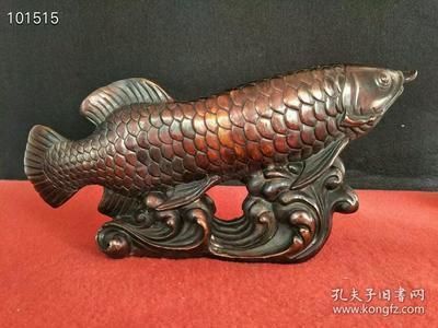 龍魚配魚有哪些有圖：關(guān)于龍魚與配魚的一些文字描述 龍魚百科 第2張