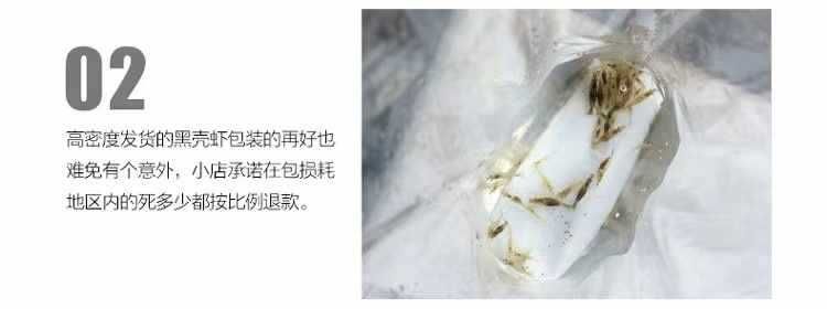 龍魚(yú)能吃蝦米嗎：龍魚(yú)可以吃蝦米嗎 龍魚(yú)百科 第2張