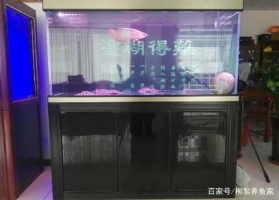 龍魚用慶大霉素用量：關(guān)于龍魚使用慶大霉素的正確用量 龍魚百科 第3張