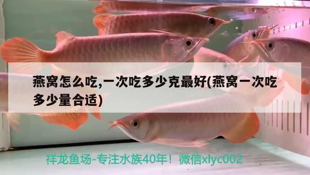 龍魚有多重 龍魚百科 第2張