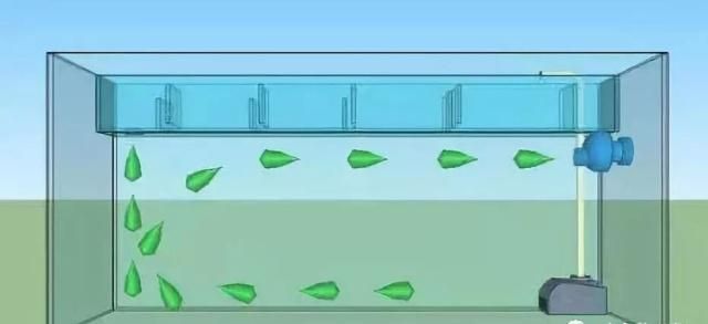 龍魚缸出水口設(shè)計(jì)成造浪泵行嗎：將龍魚缸出水口設(shè)計(jì)成造浪泵可行嗎 龍魚百科 第3張