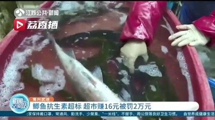 龍魚怎么打包發(fā)貨給別人：龍魚打包用什么鎮(zhèn)定劑,龍魚長途運(yùn)輸注意事項(xiàng) 龍魚百科 第3張