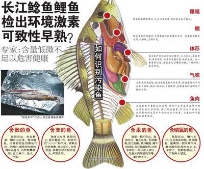 龍魚怎么打包發(fā)貨給別人：龍魚打包用什么鎮(zhèn)定劑,龍魚長途運(yùn)輸注意事項(xiàng) 龍魚百科 第4張