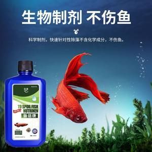 龍魚能用殺菌水嗎：如何自制龍魚殺菌水 龍魚百科 第2張