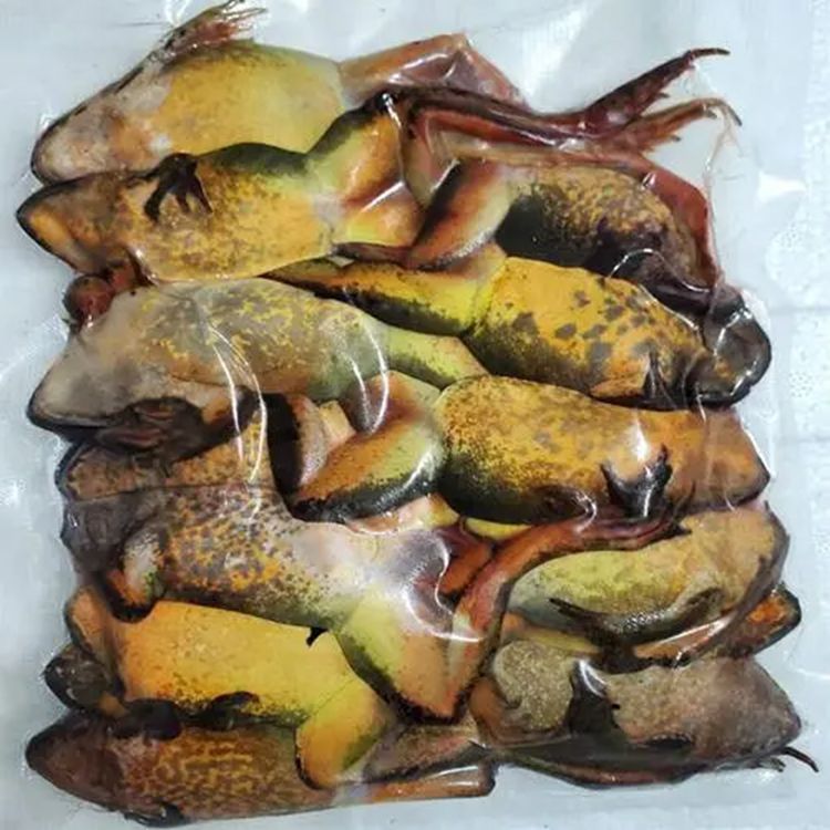 龍魚魚食制作：自制魚食保存方法，龍魚飼料營(yíng)養(yǎng)成分對(duì)比,龍魚活餌選擇技巧 龍魚百科 第5張