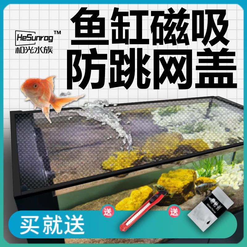 龍魚專用魚缸圖片大全：龍魚專用魚缸圖片大全展示各種不同風(fēng)格和尺寸的魚缸設(shè)計(jì) 龍魚百科 第2張