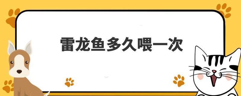 雷龍魚怎么喂長得快：促進(jìn)雷龍魚快速生長的喂養(yǎng)方法雷龍魚快速生長的喂養(yǎng)方法 龍魚百科 第5張