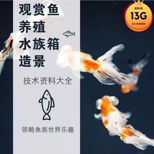 龍魚養(yǎng)殖技術(shù)教材：龍魚養(yǎng)殖技術(shù)教程 龍魚百科 第5張