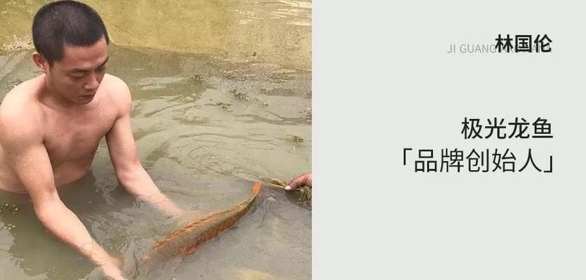 龍魚燈的選擇：如何根據(jù)龍魚品種選燈光 龍魚百科 第1張