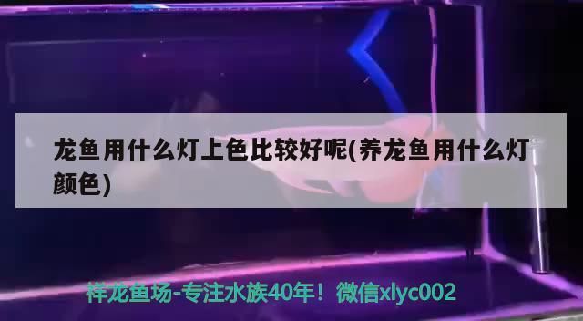 龍魚燈光開多長時間好：金龍魚燈光開多長時間好 龍魚百科 第5張