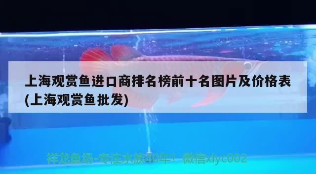 龍魚缸測水質的儀器：選擇龍魚缸水質檢測儀器對于維護龍魚缸內的水質至關重要 龍魚百科 第2張