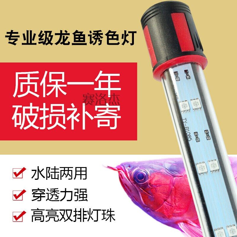 龍魚增色用什么燈好呢圖片：i7plus龍魚增色燈使用技巧 龍魚百科 第1張