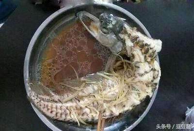 為什么龍魚禁止放生：為什么龍魚禁止放生？ 龍魚百科 第3張