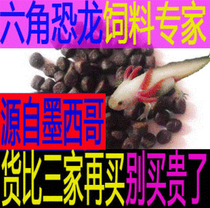 龍魚魚食品牌介紹：龍魚魚食品牌有哪些 龍魚百科 第1張