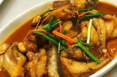 龍魚魚食品牌介紹：龍魚魚食品牌有哪些 龍魚百科 第5張