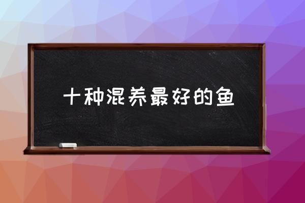 如何選擇適合混養(yǎng)的魚種：混養(yǎng)魚種的注意事項 龍魚百科 第2張