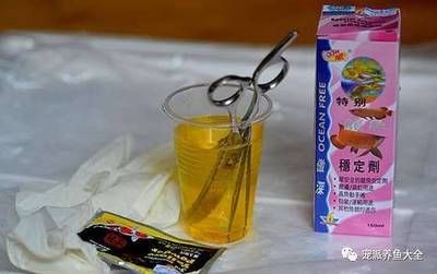 龍魚用黃粉：黃粉治療龍魚的具體步驟 龍魚百科 第3張