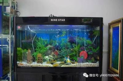 水族燈品牌推薦：水族燈品牌性價(jià)比對(duì)比 龍魚百科 第3張