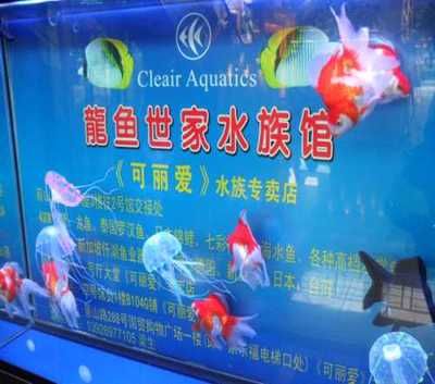 龍魚世家網(wǎng)站：龍魚世家水族館設(shè)計(jì)案例,