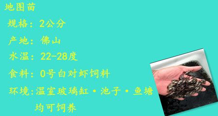 龍魚(yú)1個(gè)月不吃東西怎么回事：為什么龍魚(yú)在一個(gè)月內(nèi)不吃東西？ 水族問(wèn)答 第1張