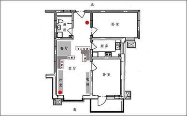 龍魚25公分一天吃幾頓：龍魚25公分一天吃幾頓，答案取決于多種因素， 水族問答 第1張