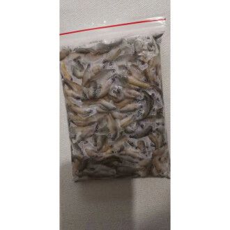 龍魚吃飼料魚好嗎：龍魚可以吃飼料魚嗎