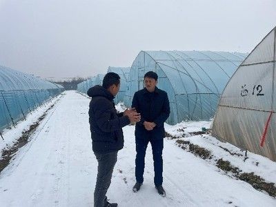 冬季雪龍魚保溫技巧：冬季雪龍魚保溫技巧，雪龍魚換水最佳時機(jī)， 龍魚百科 第2張