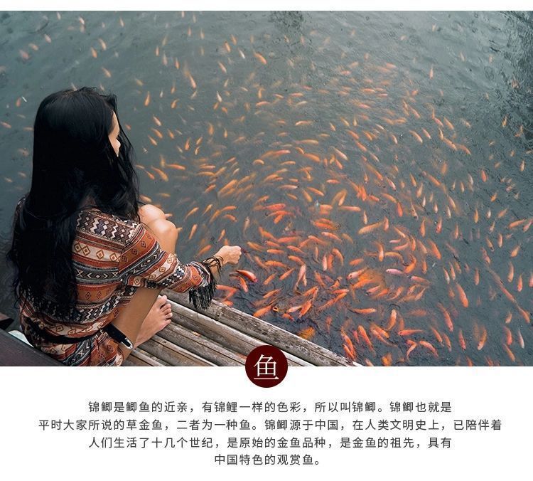 龍魚魚食活魚：關(guān)于龍魚魚食活魚的介紹 龍魚百科 第5張