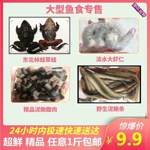 龍魚飼料魚消毒用什么：龍魚飼料魚消毒方法