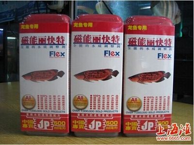 龍魚網(wǎng)購：網(wǎng)購龍魚的注意事項(xiàng) 龍魚百科 第3張