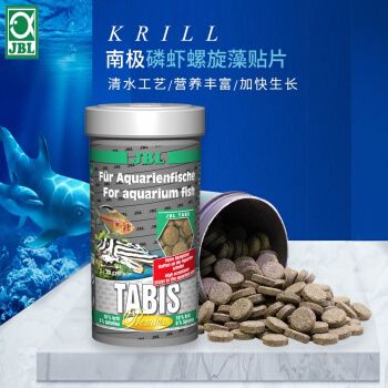 龍魚報價：買龍魚時應該如何挑選才能確保買到健康活潑的魚 水族問答 第1張