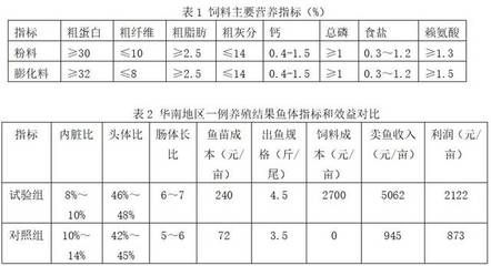 龍魚比賽冠軍特殊組：參加龍魚比賽冠軍特別組是否對龍魚的健康有特別的要求？ 水族問答 第1張