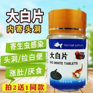 龍魚用藥期間可以喂食嗎有毒嗎：龍魚在用藥期間是否可以喂食 龍魚百科 第1張