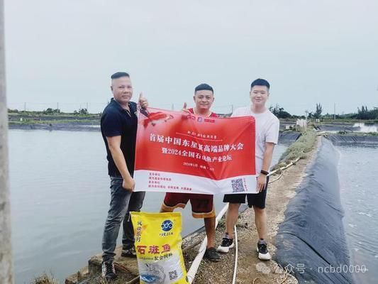 龍魚幼苗掛蛋苗什么意思：龍魚幼苗挑選技巧 龍魚百科 第4張