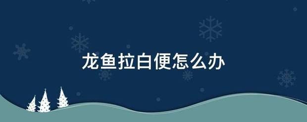 龍魚白便但是食欲很好vs祥龍魚場：龍魚白便是由多種因素引起的 vs祥龍魚場 第26張