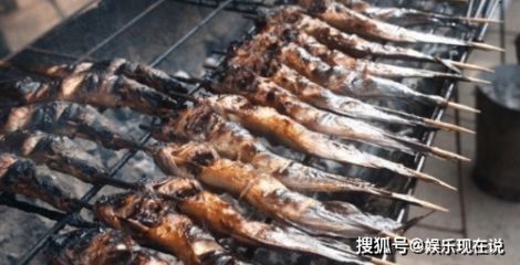 銀板魚性成熟期食譜調(diào)整方法：銀板魚在性成熟期的食譜調(diào)整需考慮到它們的生活習(xí)性和特殊需求