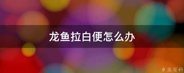 龍魚拉白便怎么辦：龍魚拉白便怎么處理 龍魚百科 第1張