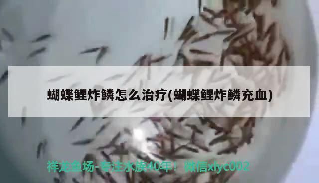 金龍魚炸鱗用土霉素可以嗎vs祥龍魚場(chǎng)：金龍魚炸鱗可以用土霉素治療金龍魚的炸鱗治療方法