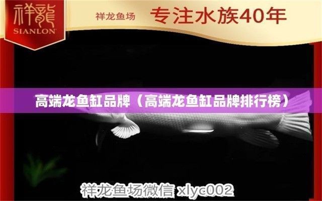 龍魚缸品牌十大排名vs祥龍魚場(chǎng)：龍魚缸品牌十大品牌排名與祥龍魚場(chǎng)口碑評(píng)價(jià)如何 vs祥龍魚場(chǎng) 第4張