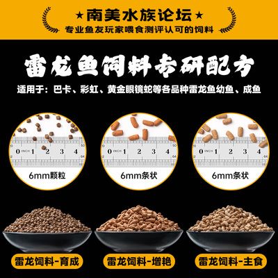 雷龍魚飼料魚：雷龍魚飼料品牌對比 龍魚百科 第1張