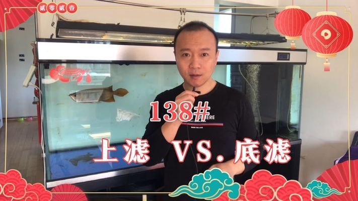 龍魚上濾好還是底濾好：龍魚魚缸上濾與底濾的區(qū)別