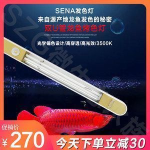 龍魚專用燈什么牌子好用點(diǎn)：nec龍魚專用燈適用魚種介紹 龍魚百科 第4張