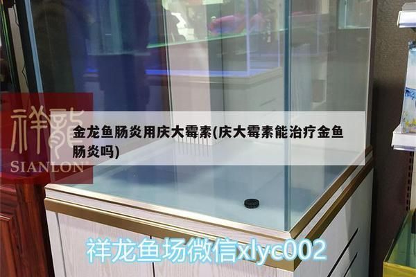 龍魚不動是怎么了：-觀察龍魚不動的原因及其可能的解決措施 水族問答 第2張