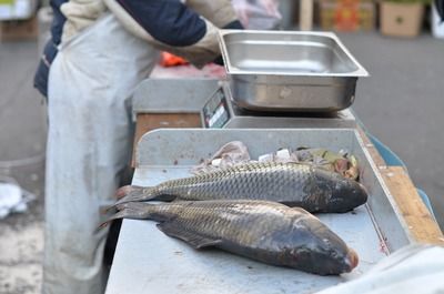 龍魚炸鱗可以用黃粉嗎：龍魚炸鱗可以使用黃粉治療其他魚病效果的自然療法 龍魚百科 第1張