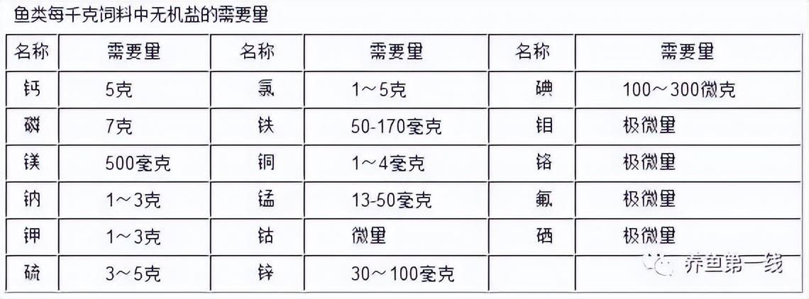 龍魚不開口吃食什么原因：為什么龍魚不開口吃食，只是看著食物？ 水族問答 第1張